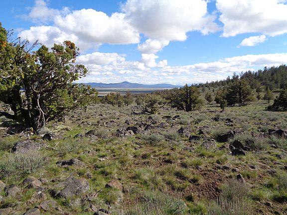 5th image of Lot 569 Hilltop