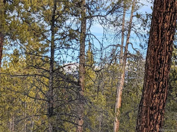 995 Sequoia Drive, Twin Lakes, CO 81251