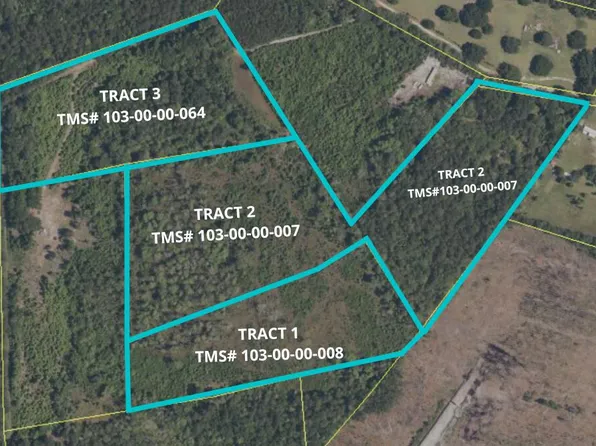 463 Tundra Ln, Ridgeville, SC 29472