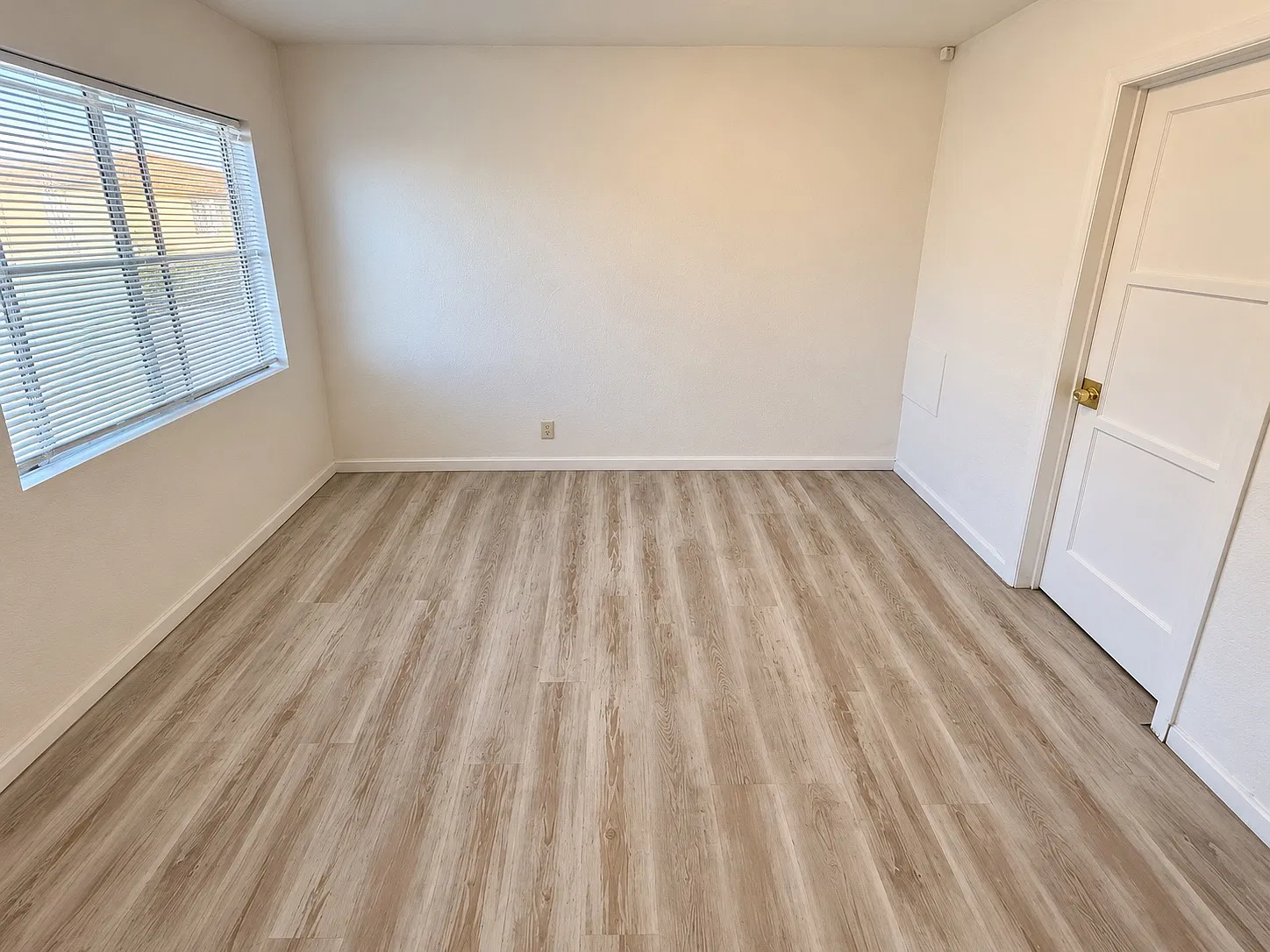 Studio, 250 sqft, $995 — Photo 3