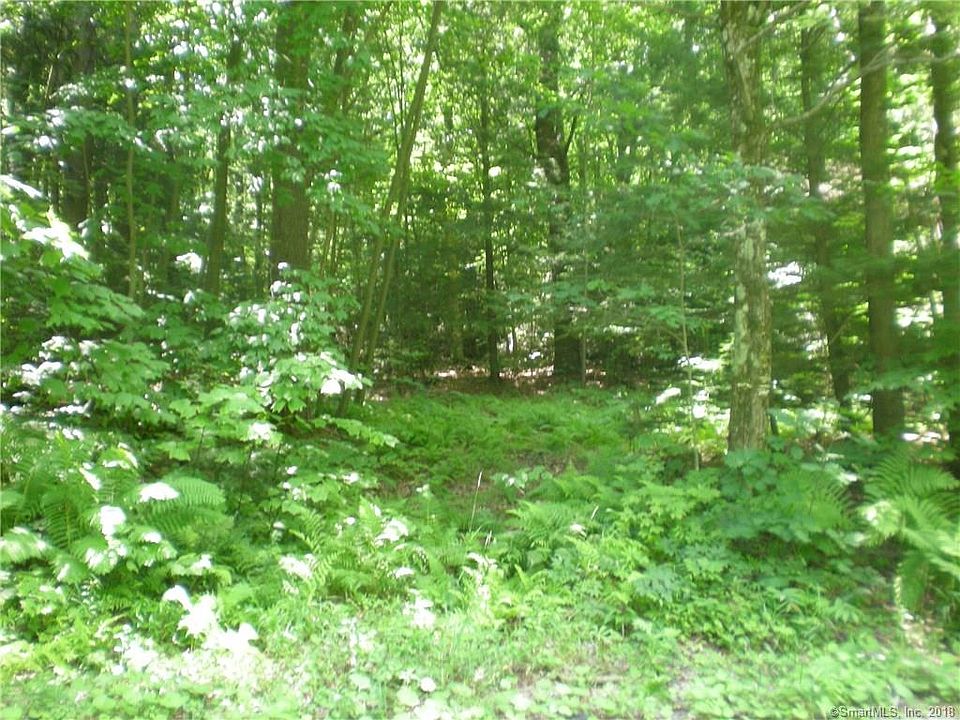 2nd image of 163 West Rd