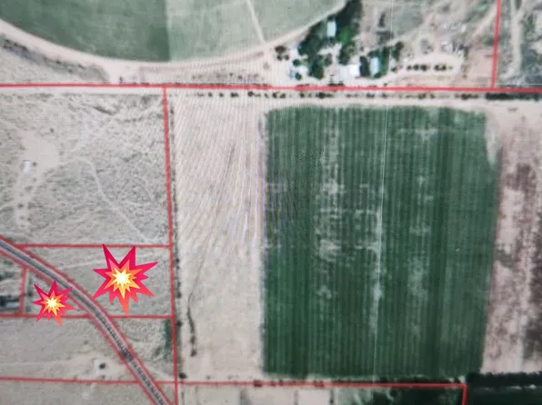 Cactus Flts, Olancha, CA 93549