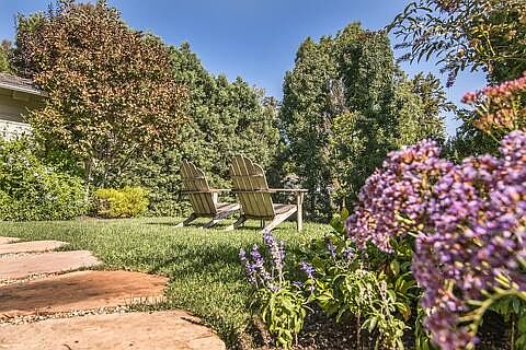 The front yard