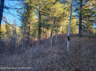 L13b2 Cutthroat Run, Irwin, ID 83428
