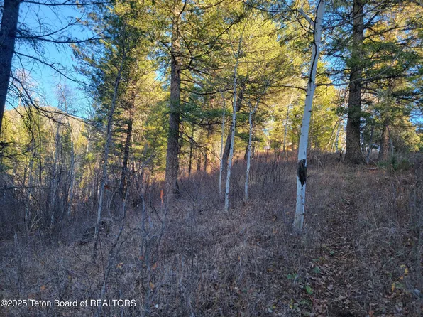 L13b2 Cutthroat Run, Irwin, ID 83428