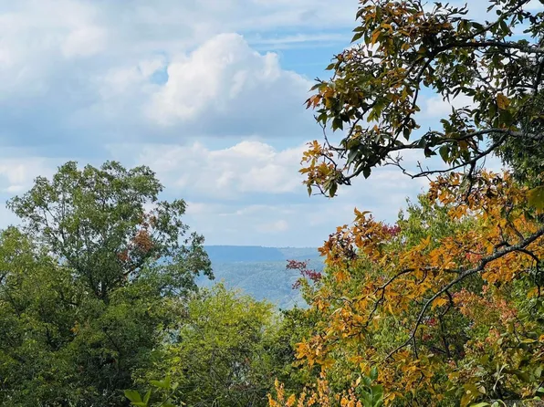 (undisclosed Address), Clarksville, AR 72830