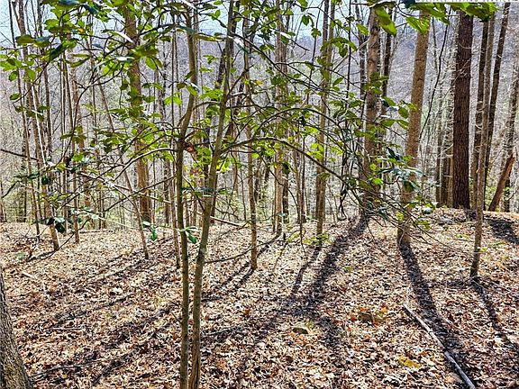 4th image of TBD Powder Horn Mountain Road