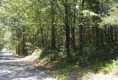 24 MOUTAIN Road, Red Hook, NY, 12571