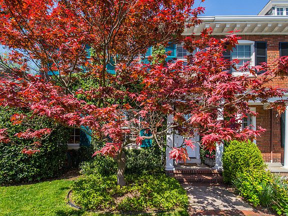 Facade with gorgeous maple tree