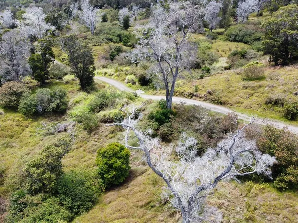 LOT 4 Lot 4, Paauilo, HI 96776