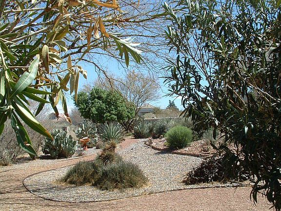Desert landscaping