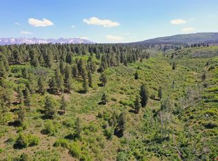 Flanagan Way, Montrose, CO 81403