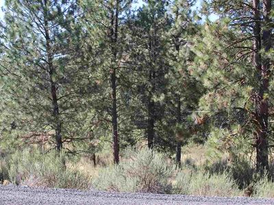 25726 Pine Cone Ct E, Lincoln, WA, 99147