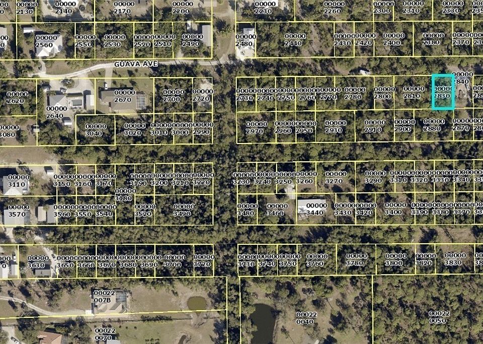 1st image of Guava Ave