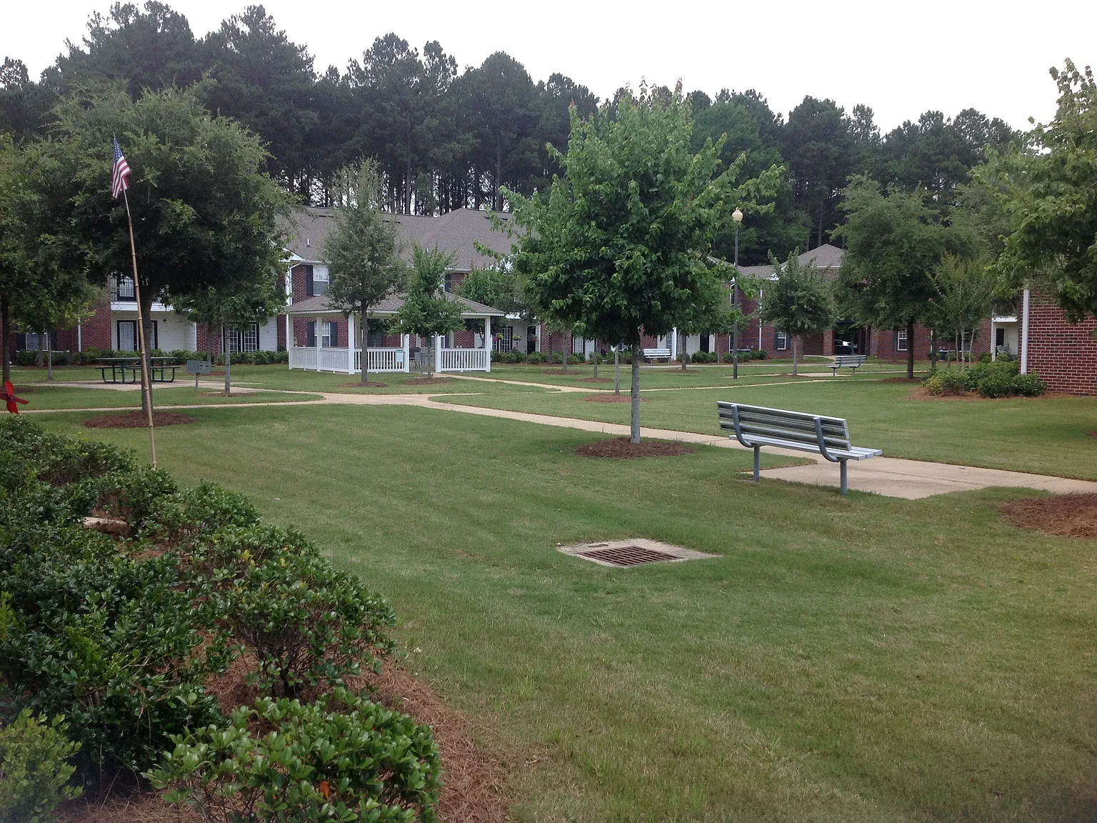 Pine View Crossing — Photo 4