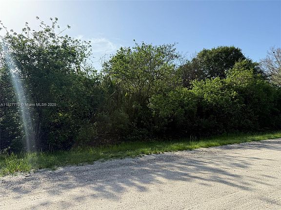 5th image of 203 Bald Cypress Ave