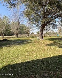 19655 Barfield Rd, Blountstown, FL, 32424