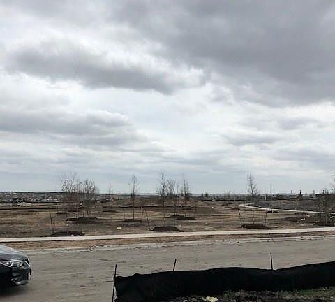 4th image of 117 Switch Grass St