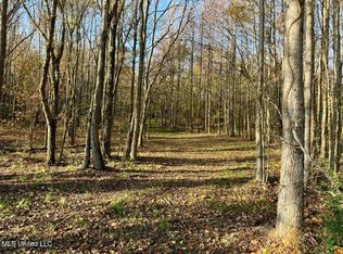 6 Mill Pond Rd, Lamar, MS 38642