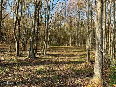 5 Mill Pond Rd, Lamar, MS, 38642