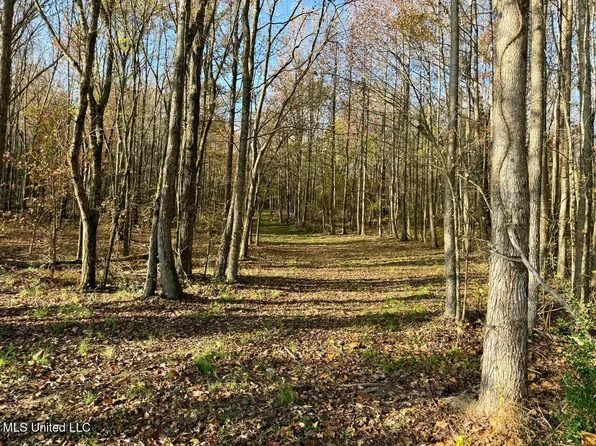 5 Mill Pond Rd, Lamar, MS 38642