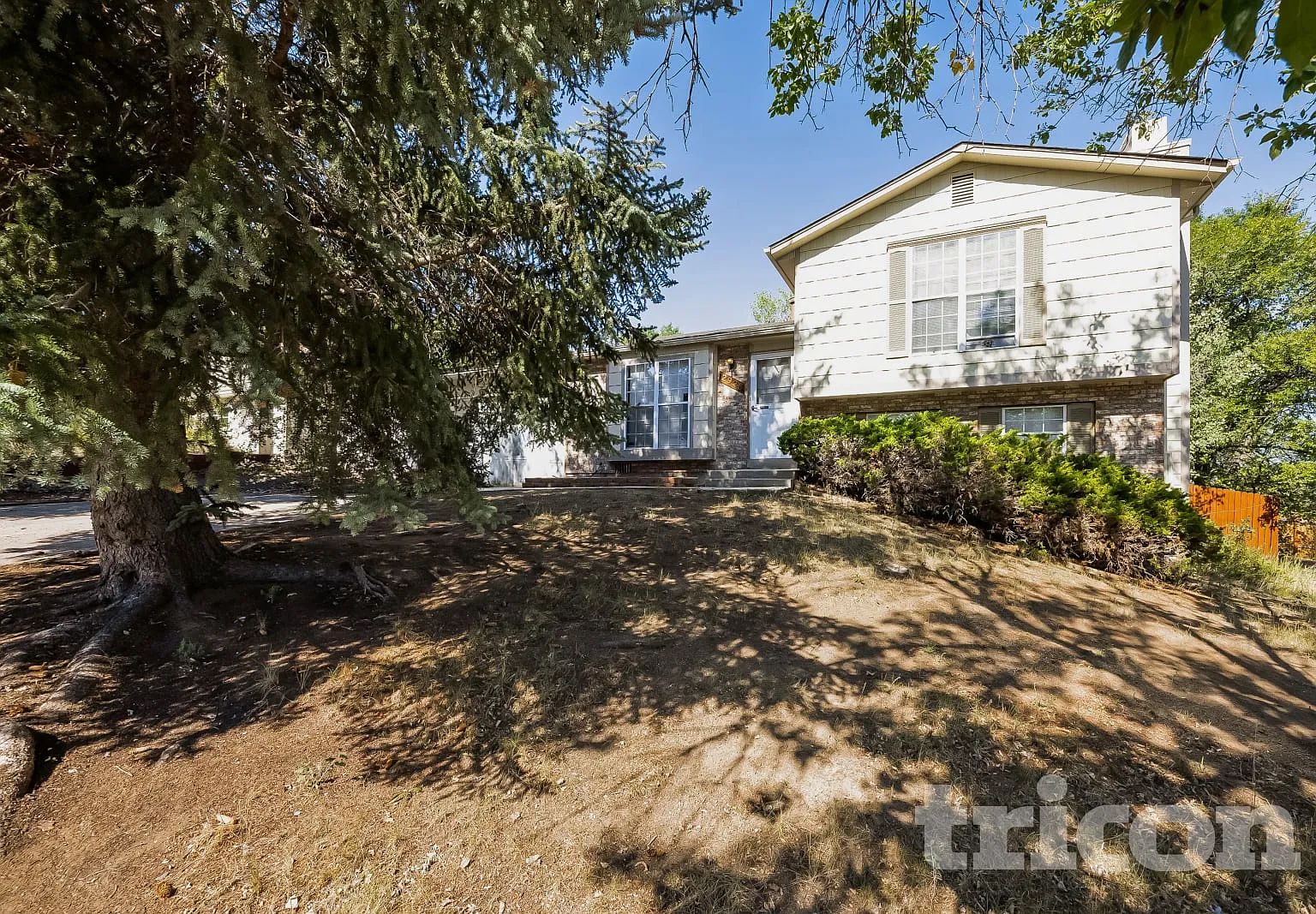 2925 Reuben Dr Colorado Springs CO — Photo 1