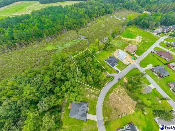 3141 Woodside Dr, Effingham, SC 29541
