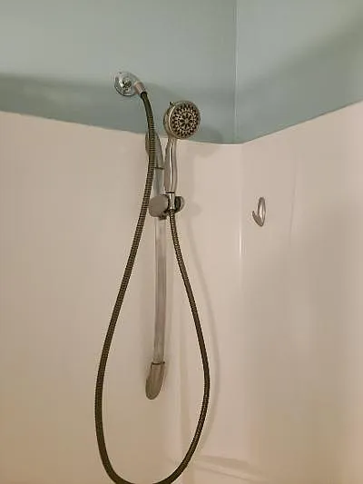 Handheld shower head