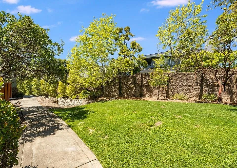 Partial view of the backyard.