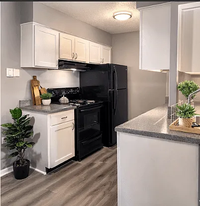 Knollwood Apartments — Photo 11