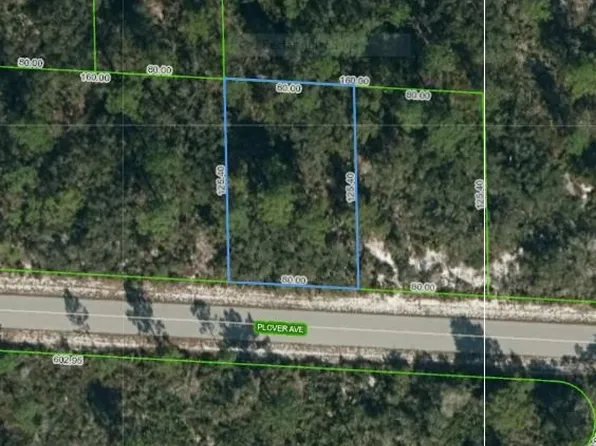 3451 Plover Ave, Lake Placid, FL 33852