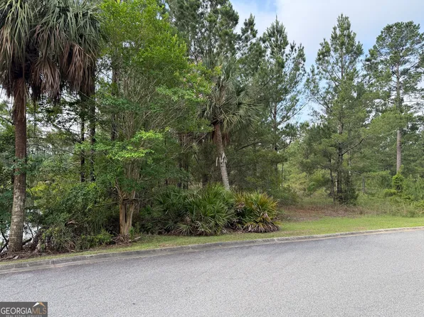 1.12 Big Horse Dr, Waynesville, GA 31566