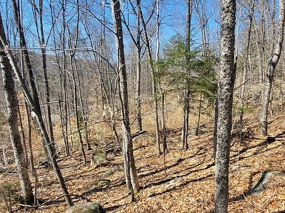 5th image of Lot 21 River Road