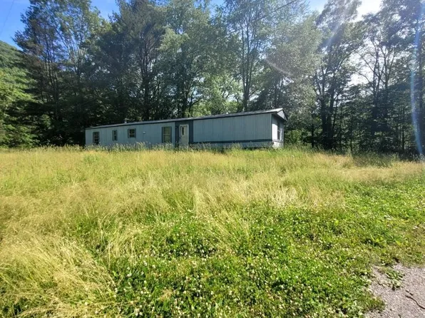 2020 Upper Bodines Rd, Trout Run, PA 17771