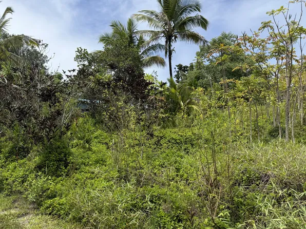 15-1032 Wahi Heiau Lot 61, Keaau, HI 96749