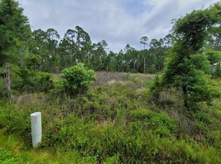 LOT F9 Surf Rd, Panacea, FL 32346