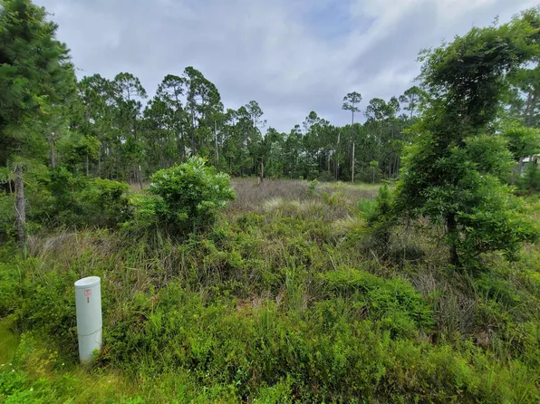 LOT F9 Surf Rd, Panacea, FL 32346