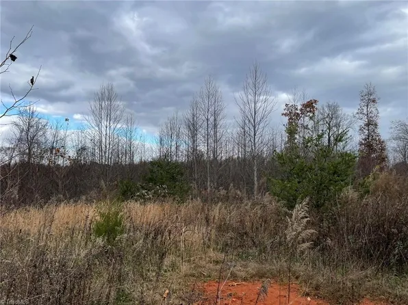 LOT 13 Pulco Ln Lot 13, Ronda, NC 28670