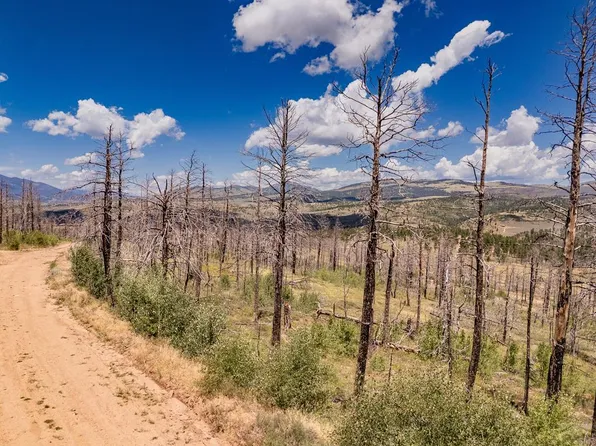 459 Mulligan Ln, Fort Garland, CO 81133