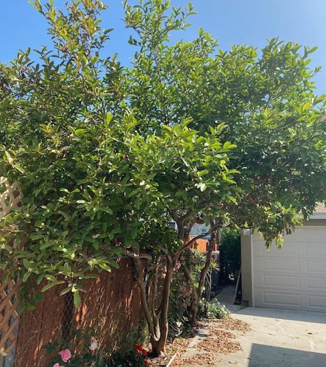 1st image of 1617 W 11th Pl #1617