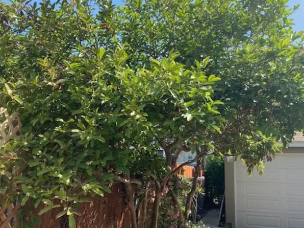 (undisclosed Address), Los Angeles, CA 90015