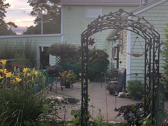 Back Yard w Bluestone patio