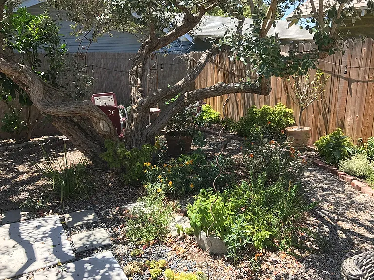 Enjoy this Gorgeous Backyard filled with Fruit Trees, Colorful Flowers, and a Firepit Seating Area as part of your tranquil living experience in this Charming 2 BDR/1 BA Retro Row Duplex Apartment.