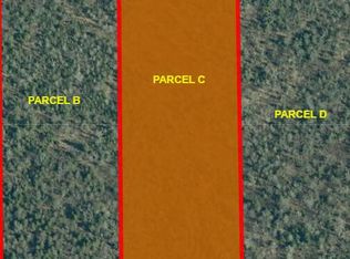 PARCEL Black Point Rd #C, Moran, MI 49760