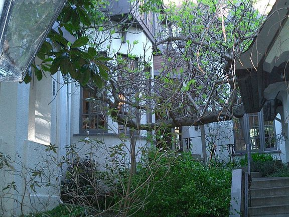 Entry path from across the creek