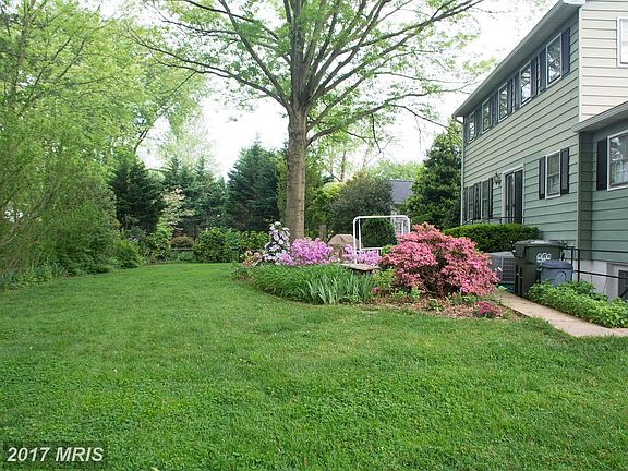 Back yard is capacious.