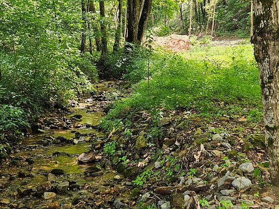 5th image of Bunch Hollow Rd