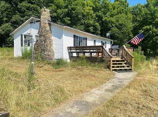 Eisaman Rd, Swain, NY 14884