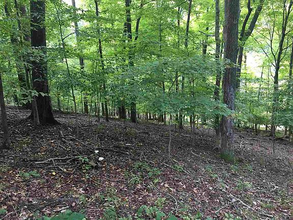 5th image of Lot 31 Grandview Drive-woodfield Ests Lot 31