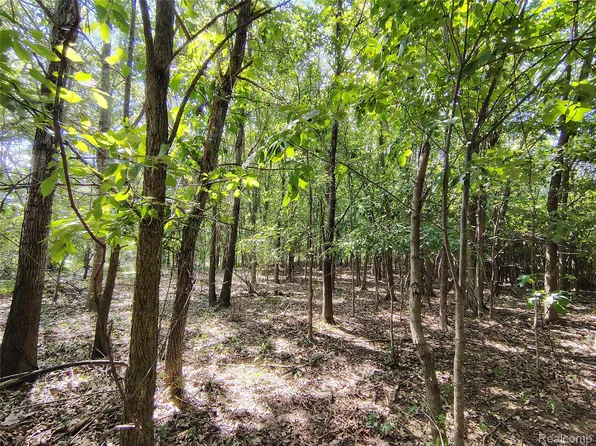 PARCEL Brigham Rd #D, Goodrich, MI 48438